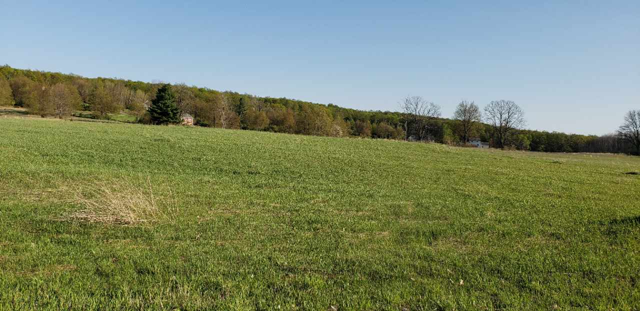 Lot 43 Alden Meadows Property Photo 7