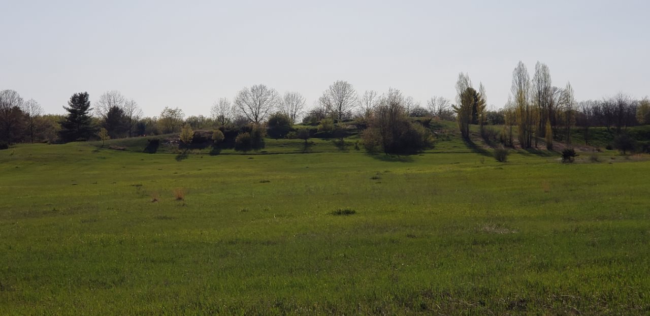 Lot 43 Alden Meadows Property Photo 8