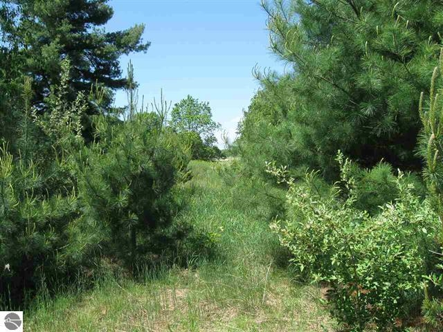 Lot 33 Alden Meadows Property Photo 5