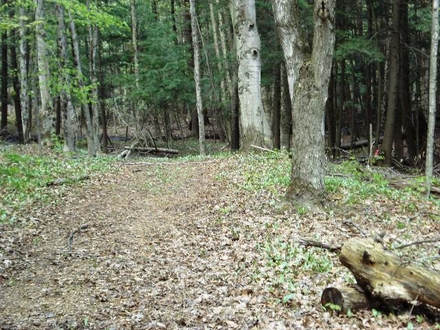 Lot 33 Alden Meadows Property Photo 12