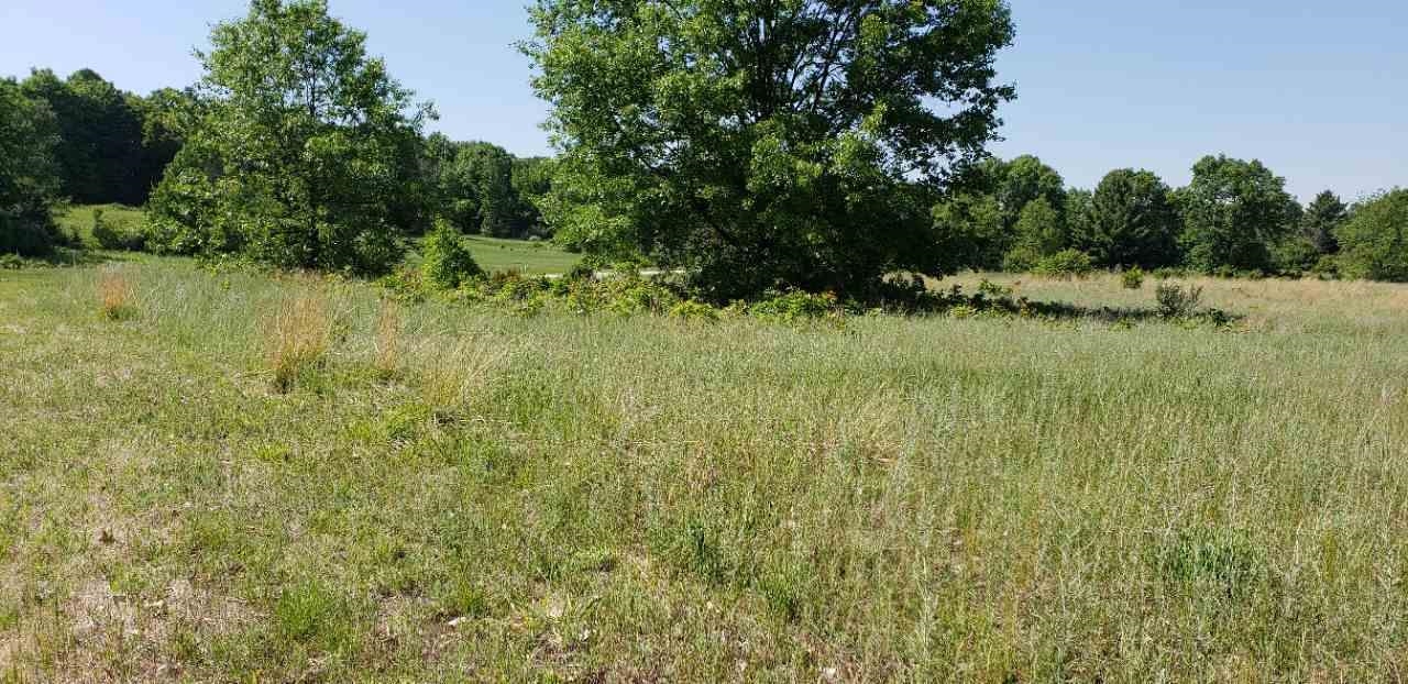 Lot 34 Alden Meadows Property Photo 5