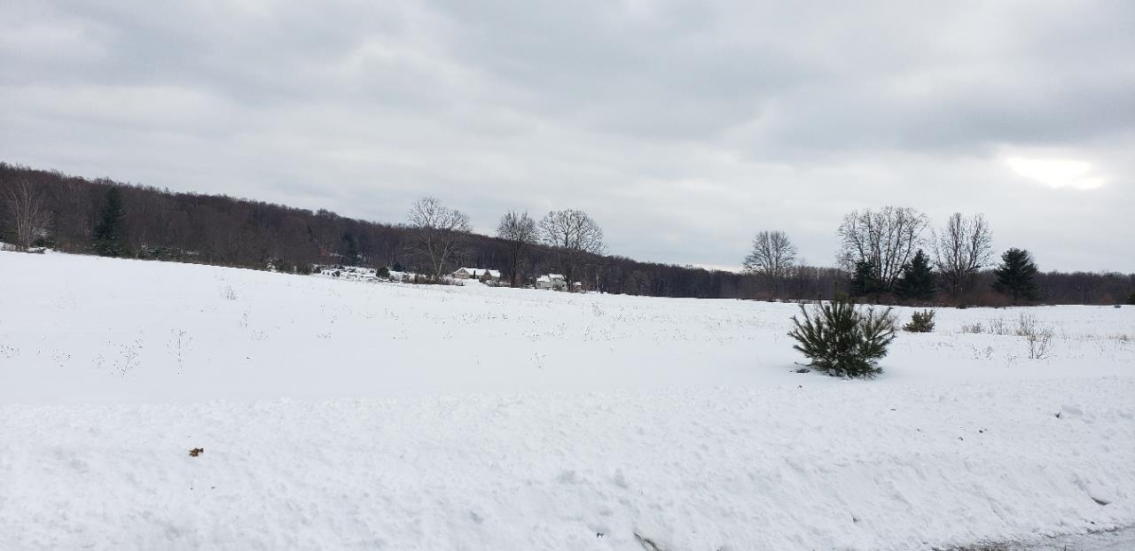 Lot 34 Alden Meadows Property Photo 13