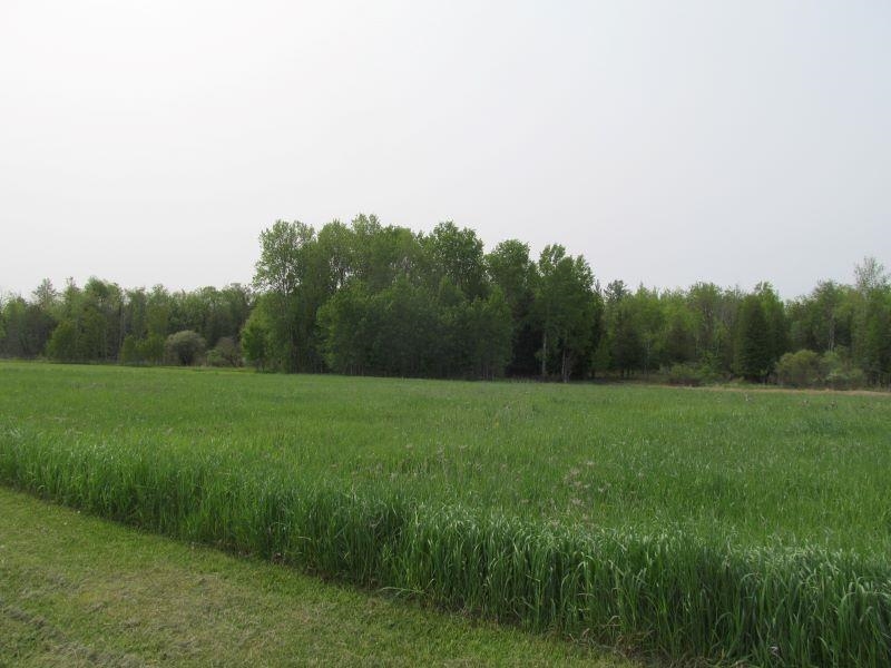 Lot #2 S Hemlock Street Property Photo 11
