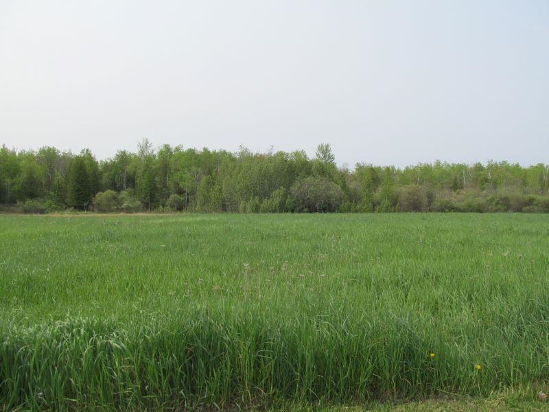 Lot #2 S Hemlock Street Property Photo 12