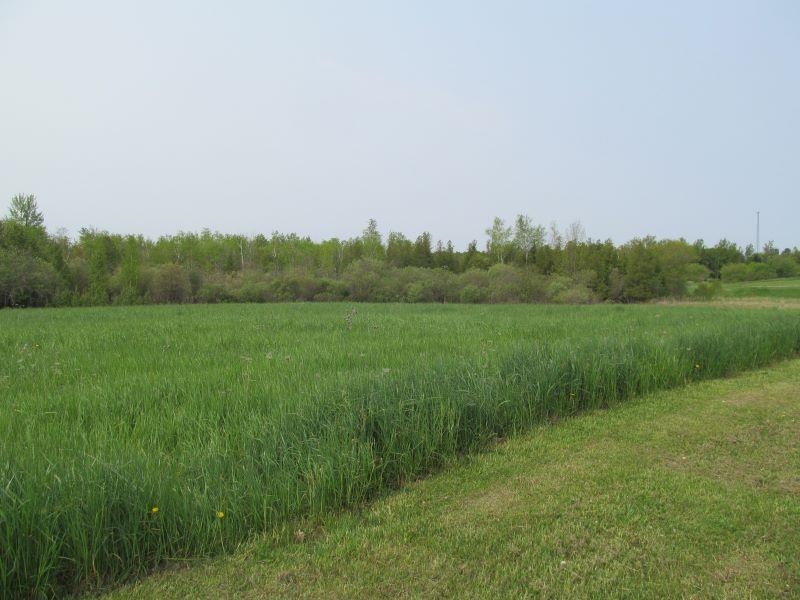 Lot #2 S Hemlock Street Property Photo 13