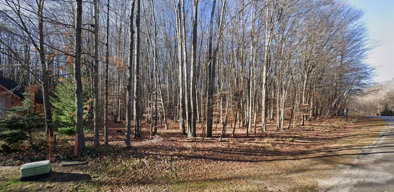 Lot 1152 Michaywe Property Photo