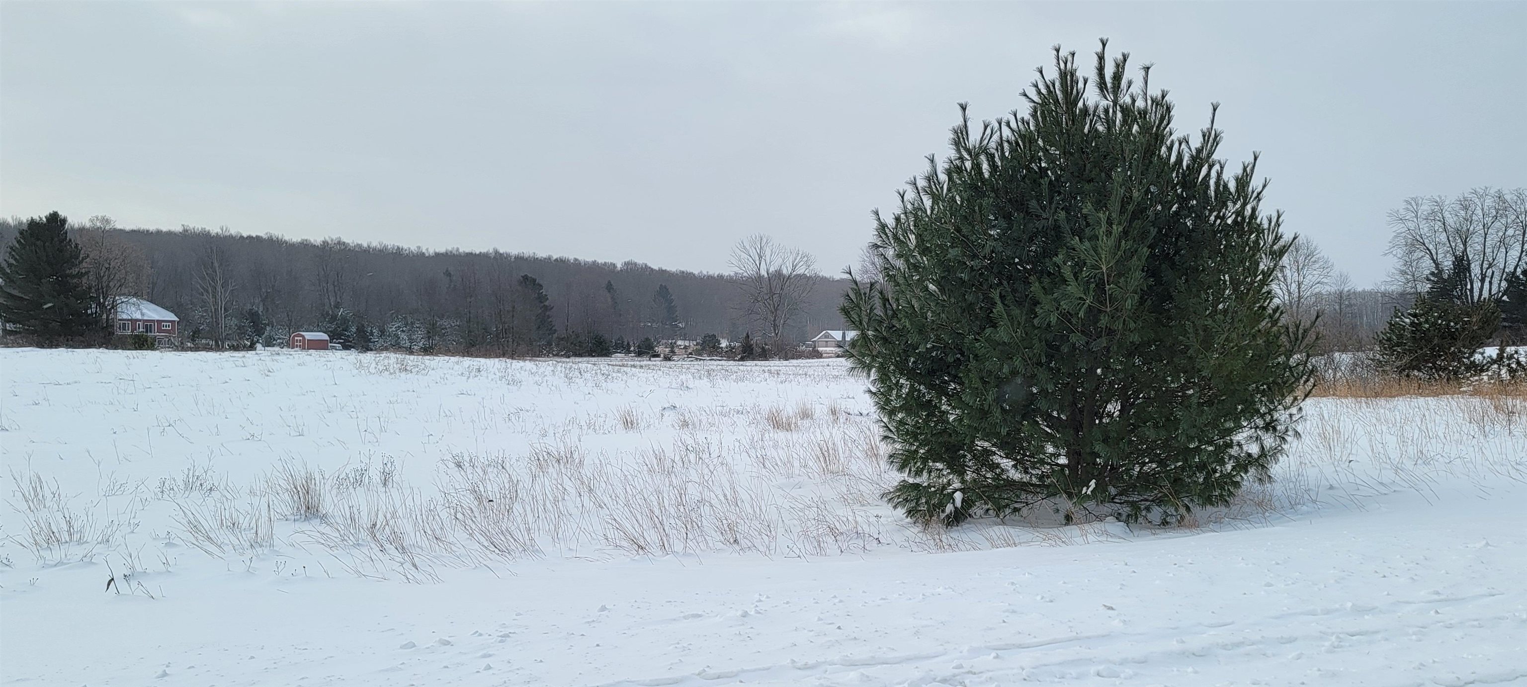 Lot 44 Alden Meadows Property Photo 3