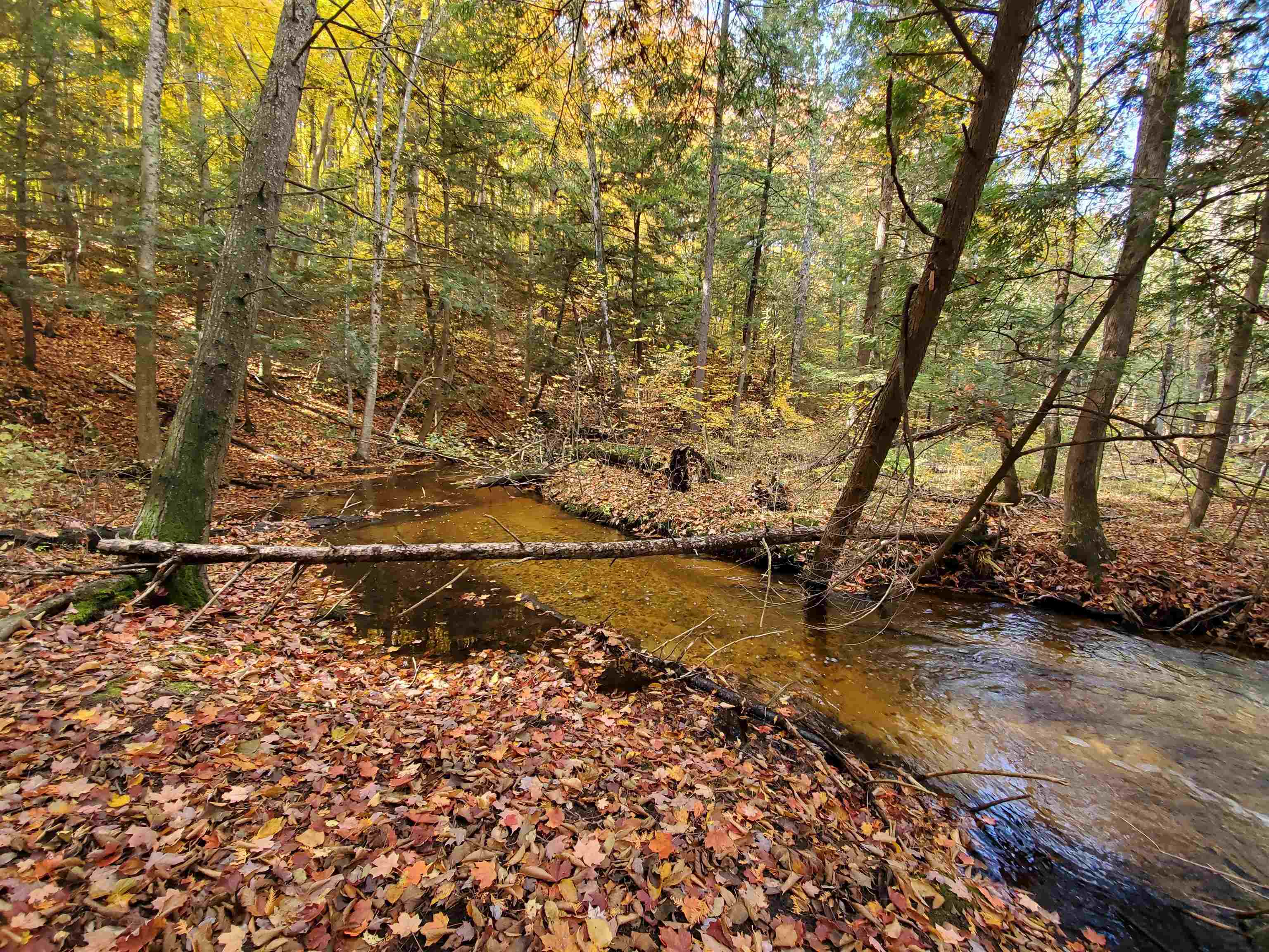 Lot 44 Alden Meadows Property Photo 9
