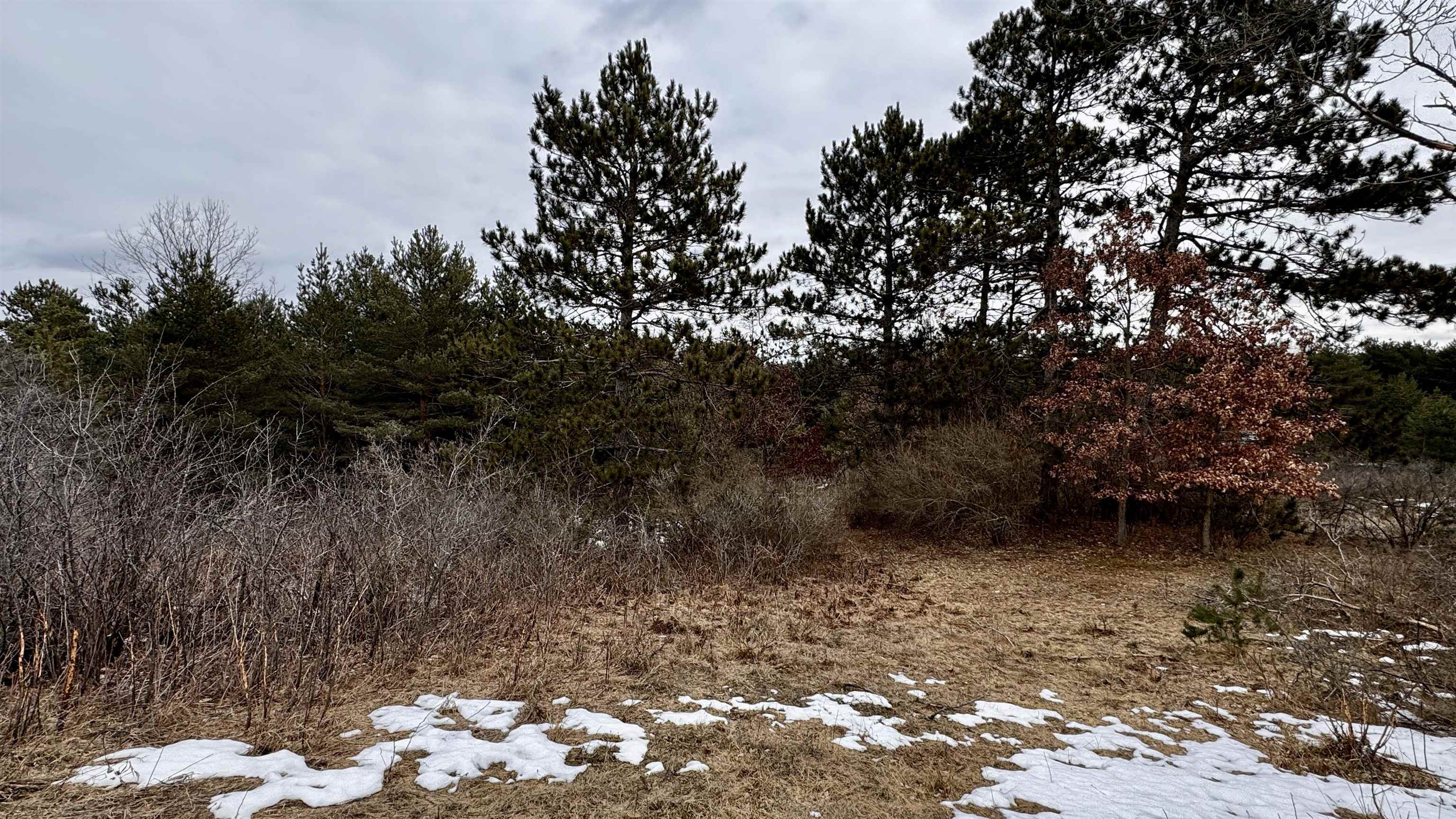 7859 S Us-131 Property Photo 6