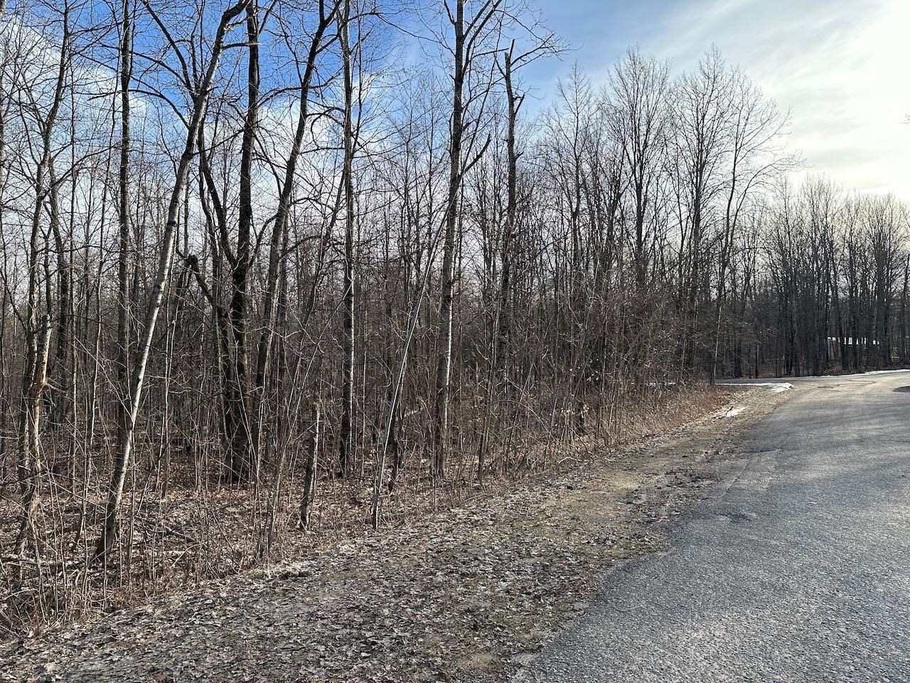 Lot 351 Dellwood Property Photo 3