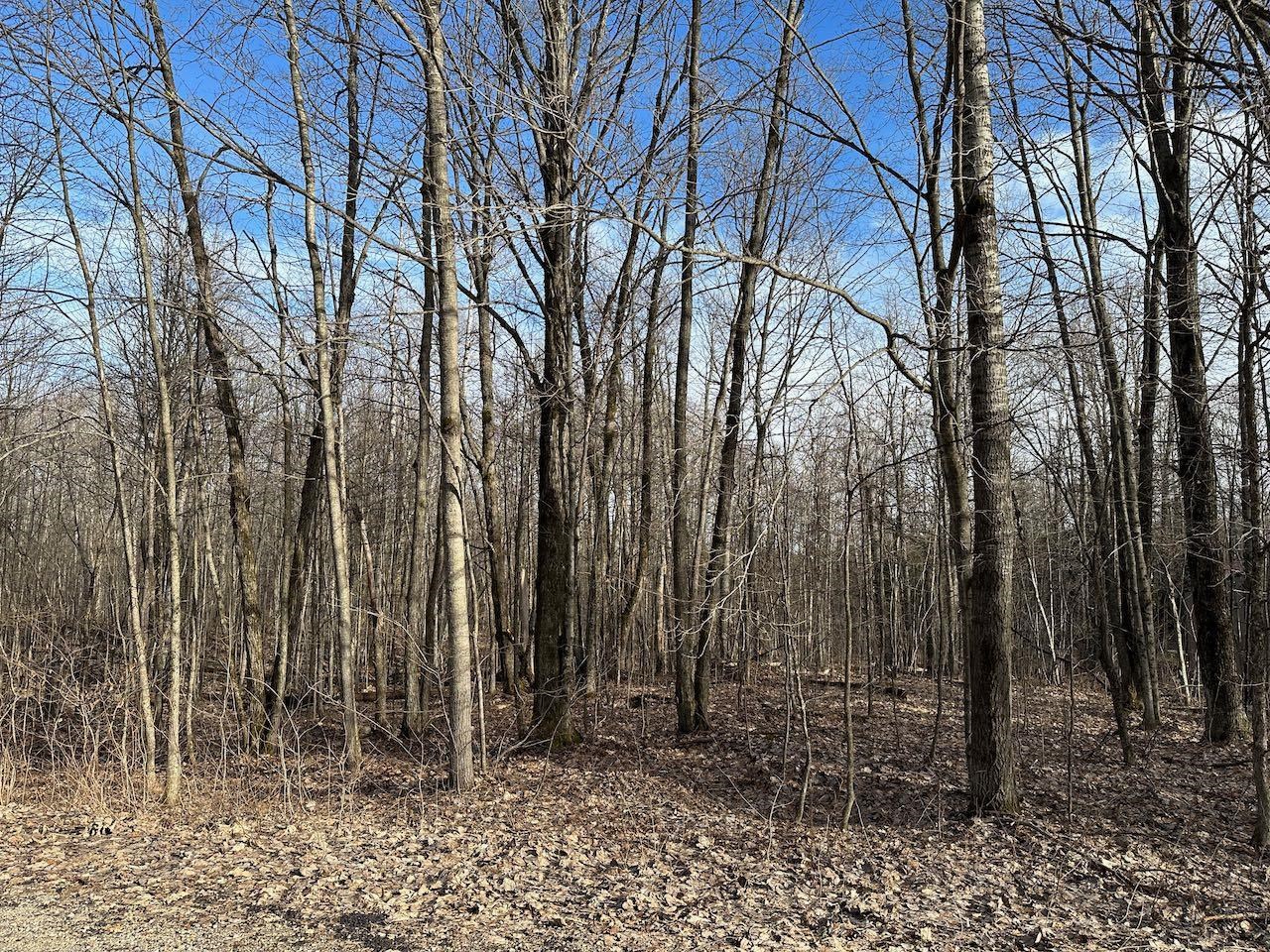 Lot 351 Dellwood Property Photo 4
