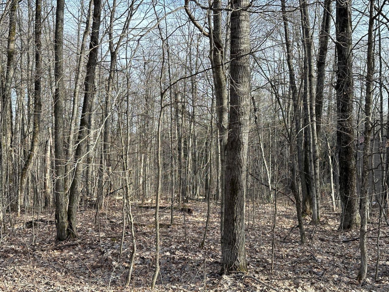 Lot 351 Dellwood Property Photo 6