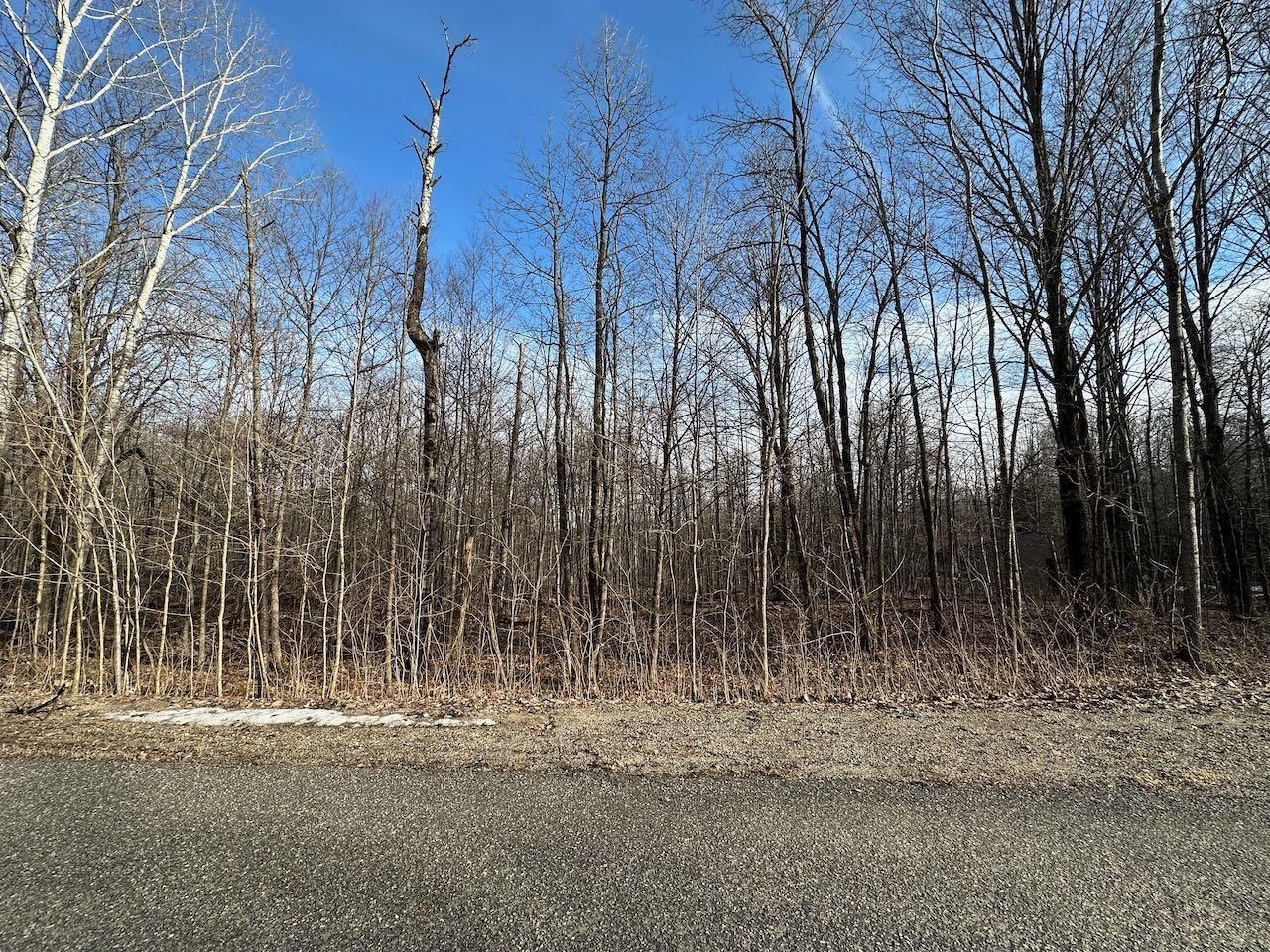 Lot 351 Dellwood Property Photo 7