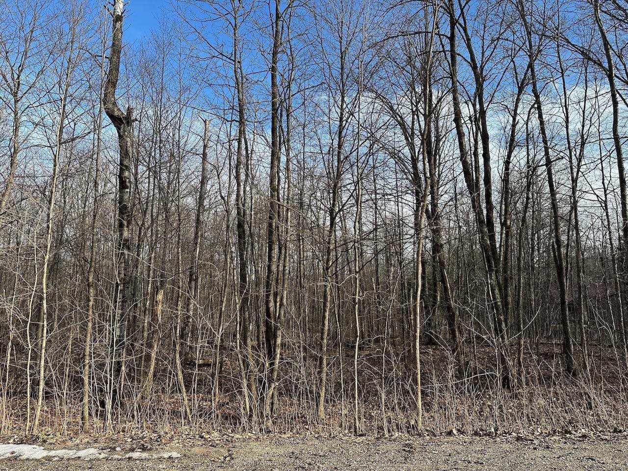 Lot 351 Dellwood Property Photo 8