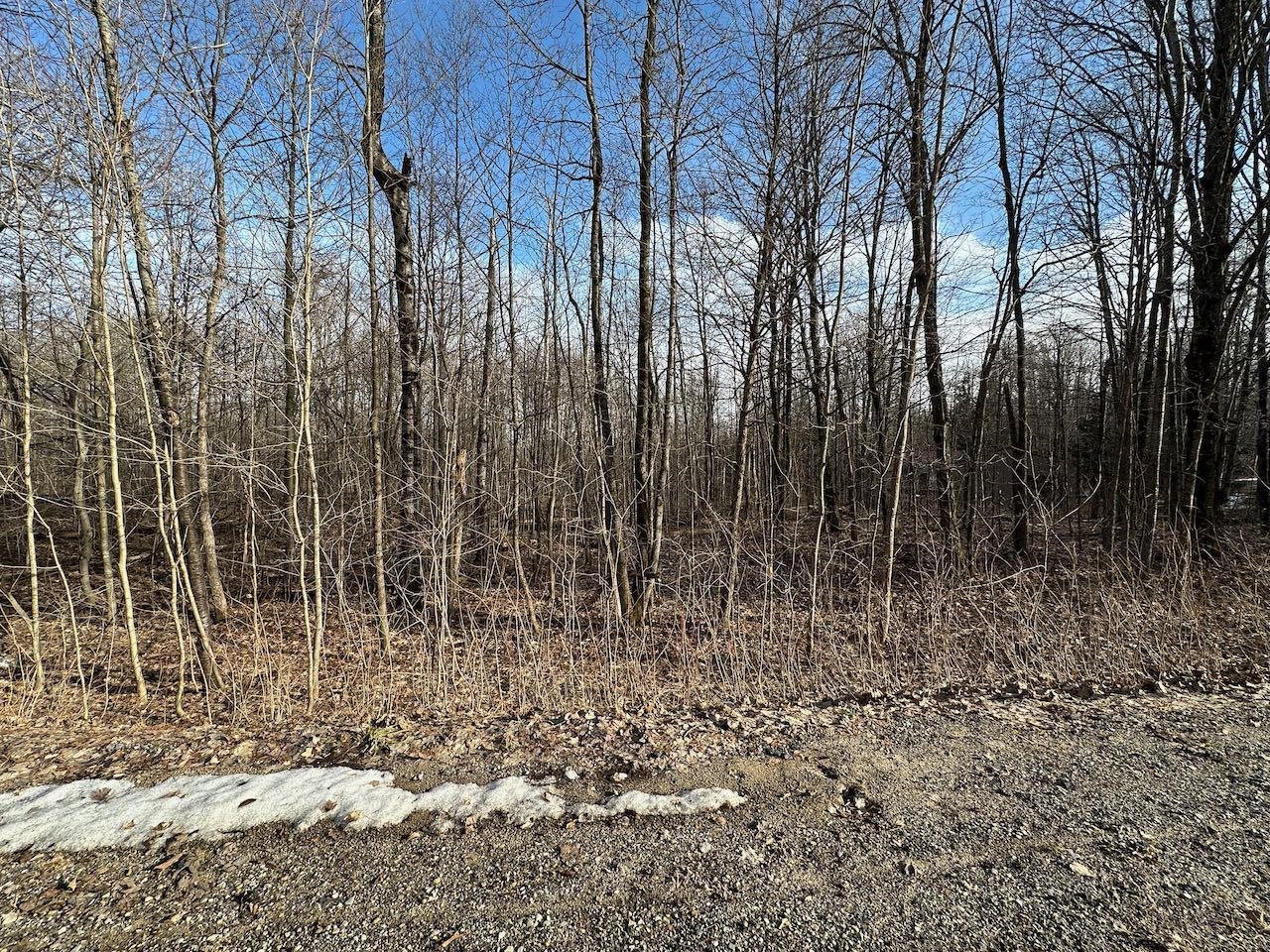 Lot 351 Dellwood Property Photo 9