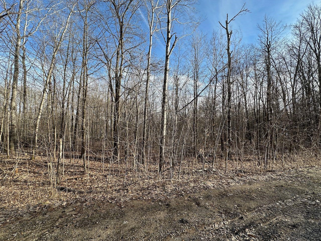 Lot 351 Dellwood Property Photo 10