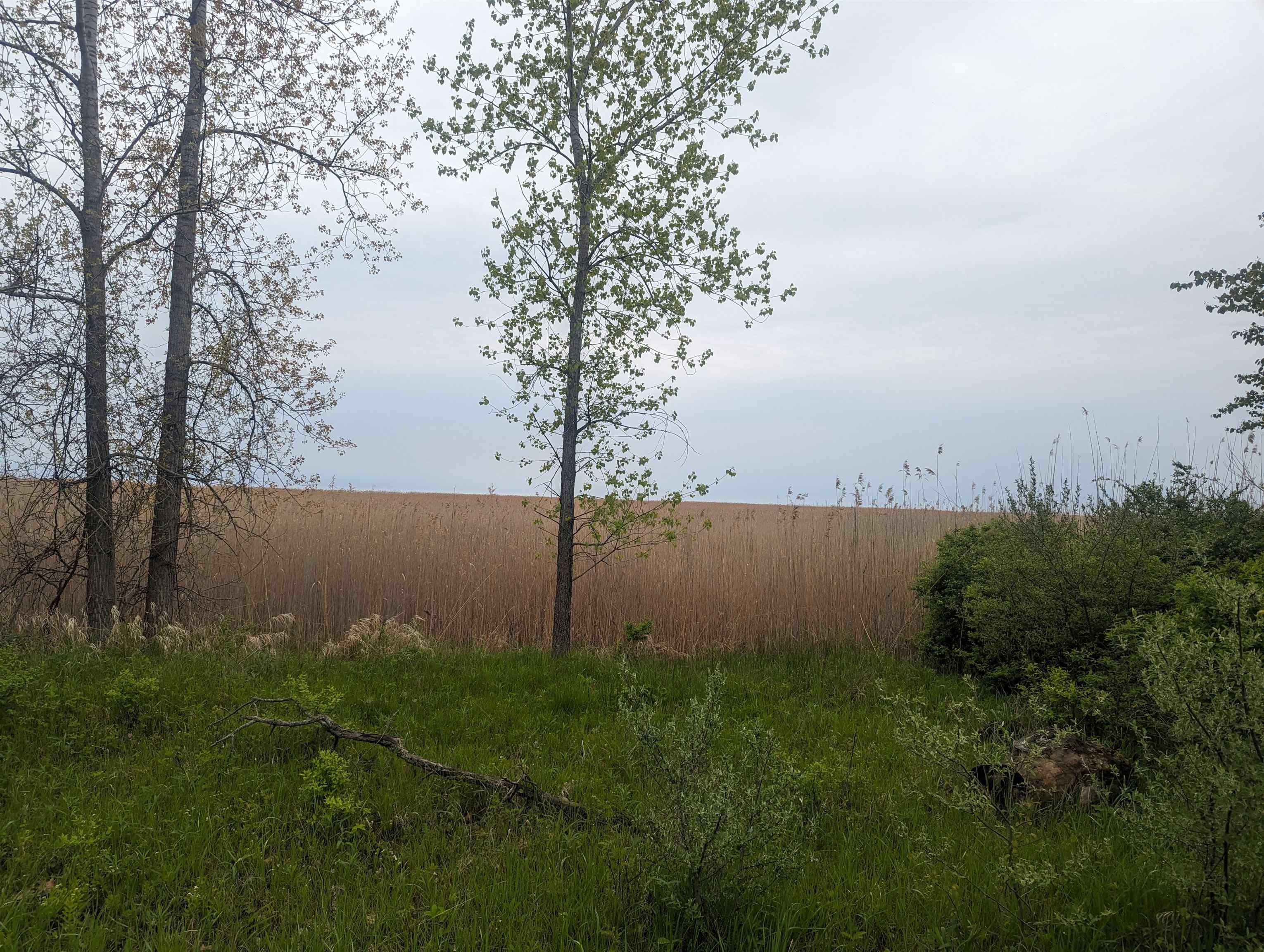 N/a Michigan Avenue Property Photo 1