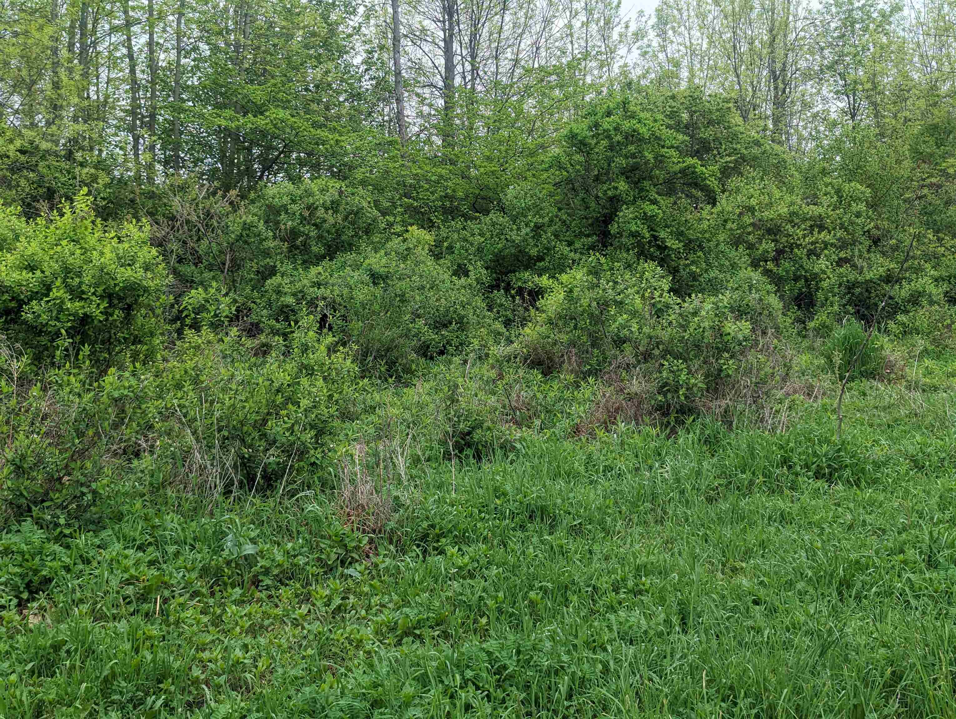 N/a Michigan Avenue Property Photo 7