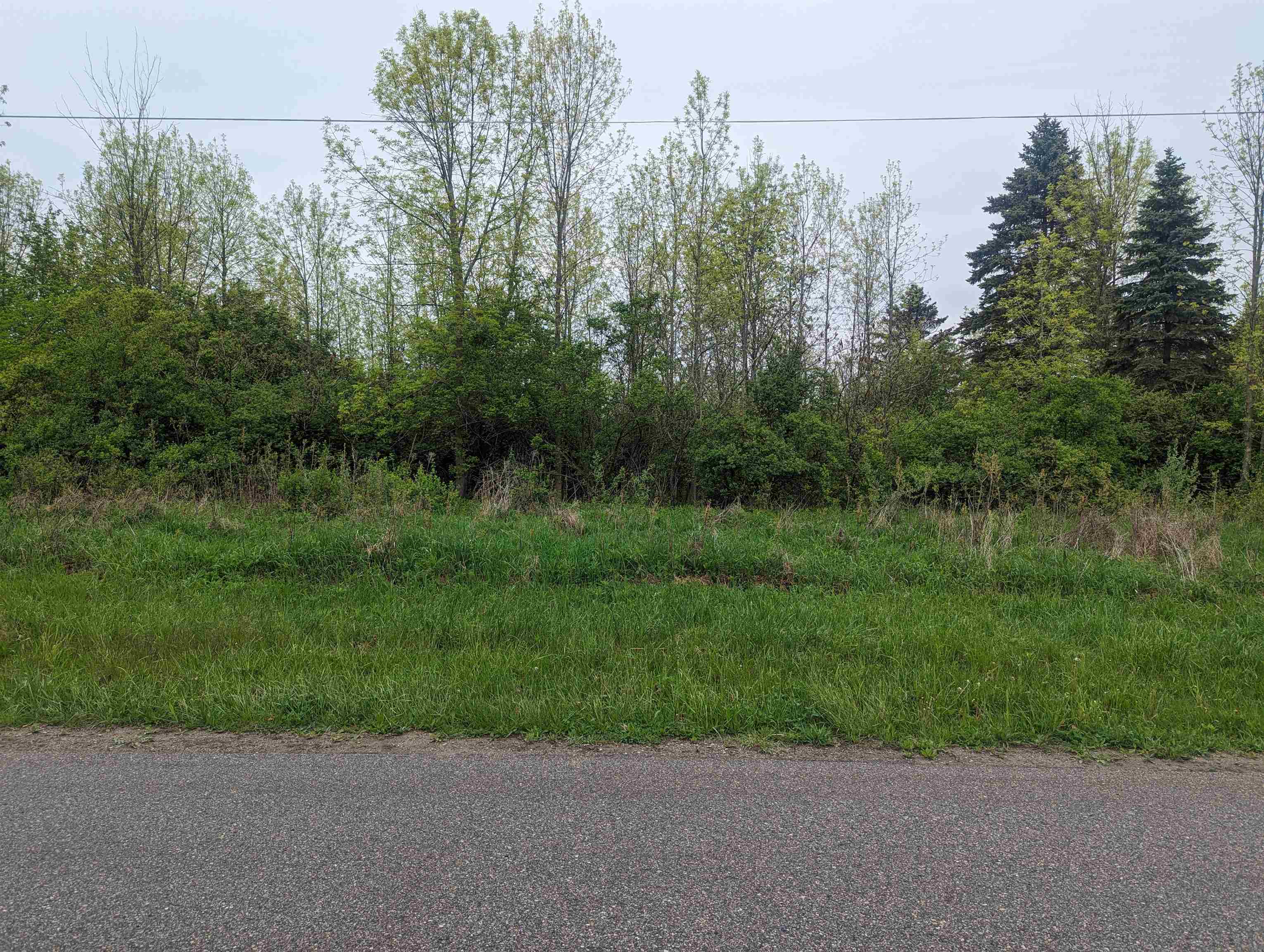 N/a Michigan Avenue Property Photo 11