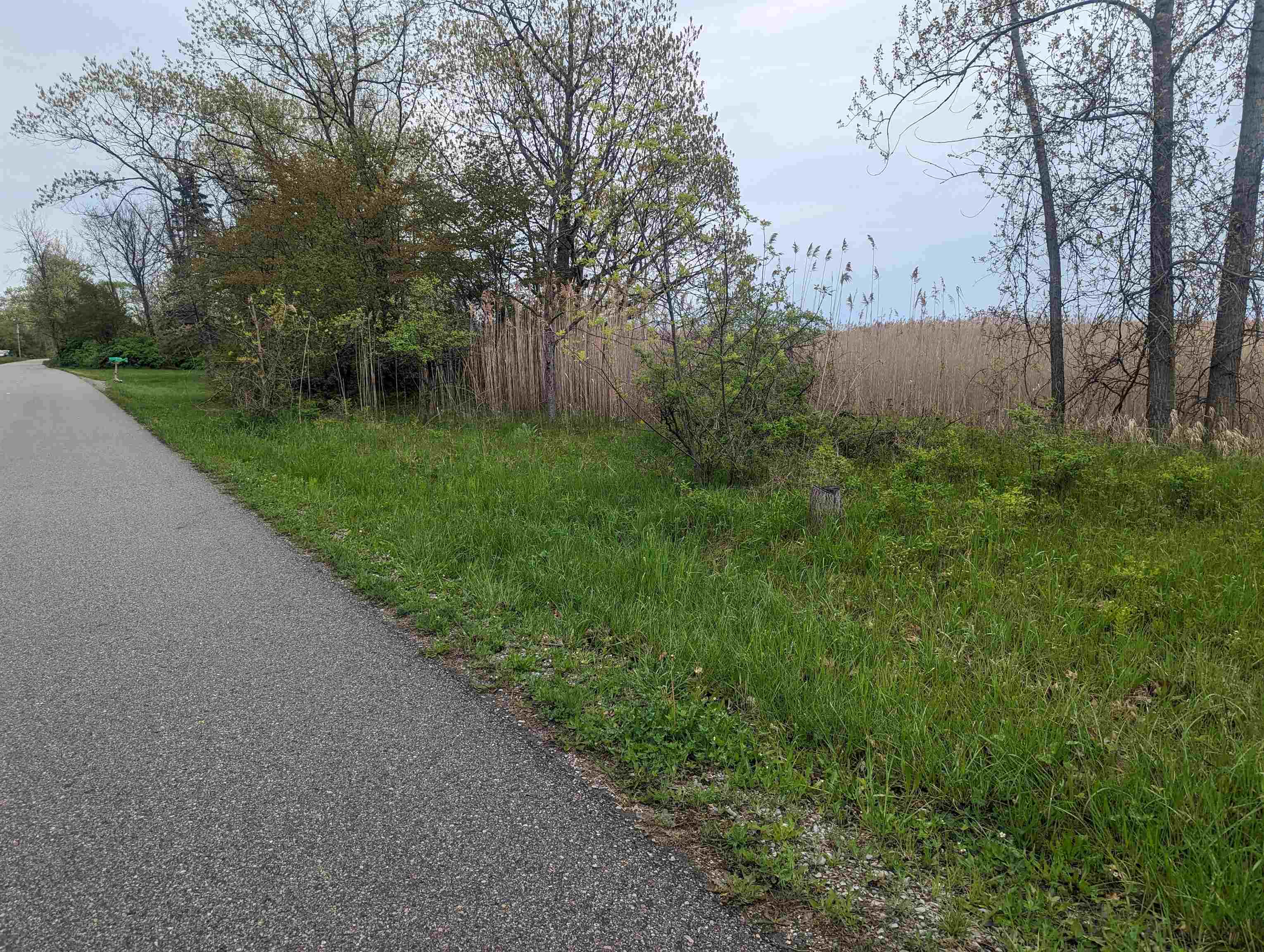 N/a Michigan Avenue Property Photo 13