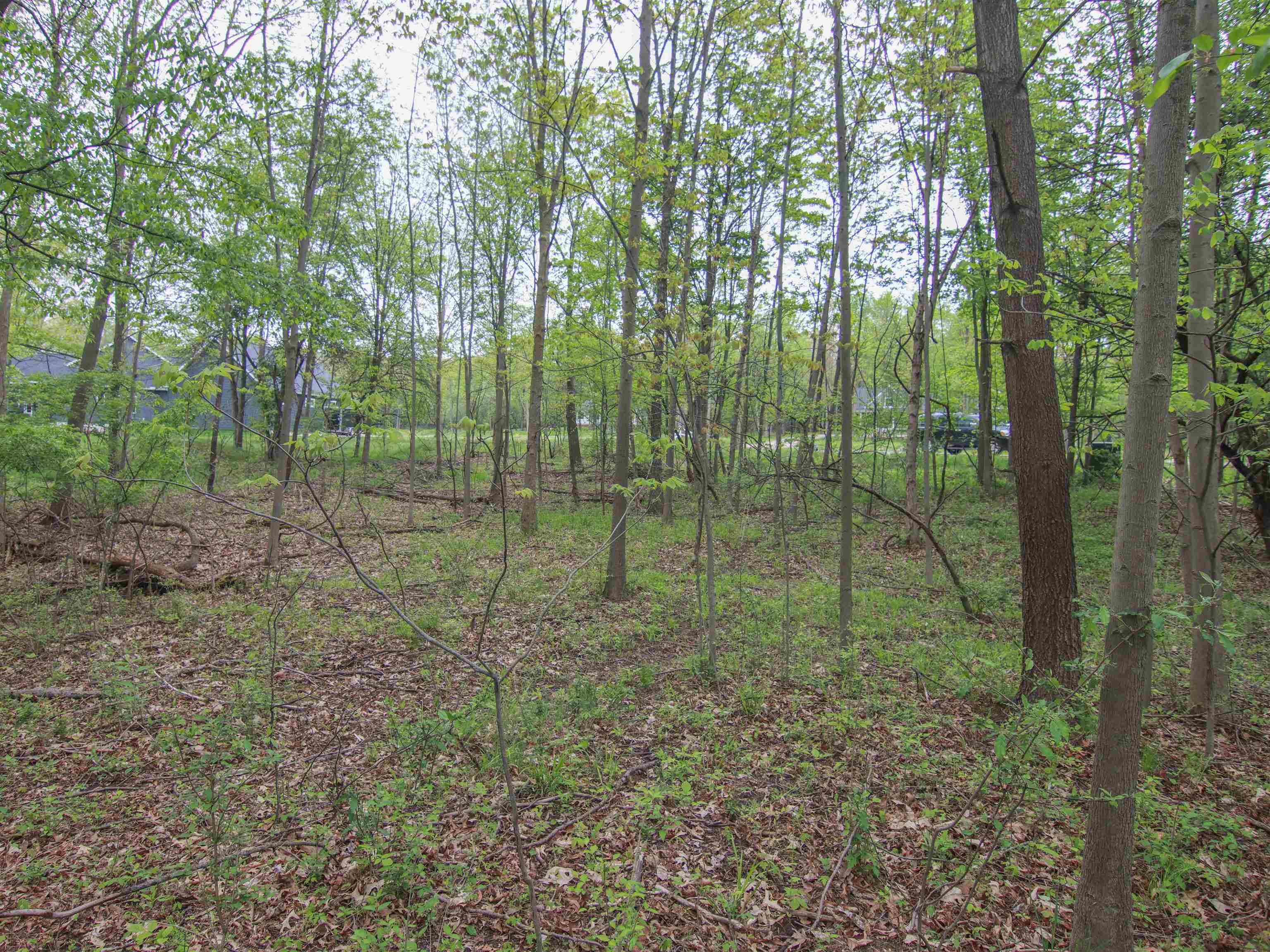 000-unit 3 Ledgewood Ravine Trail Property Photo 1