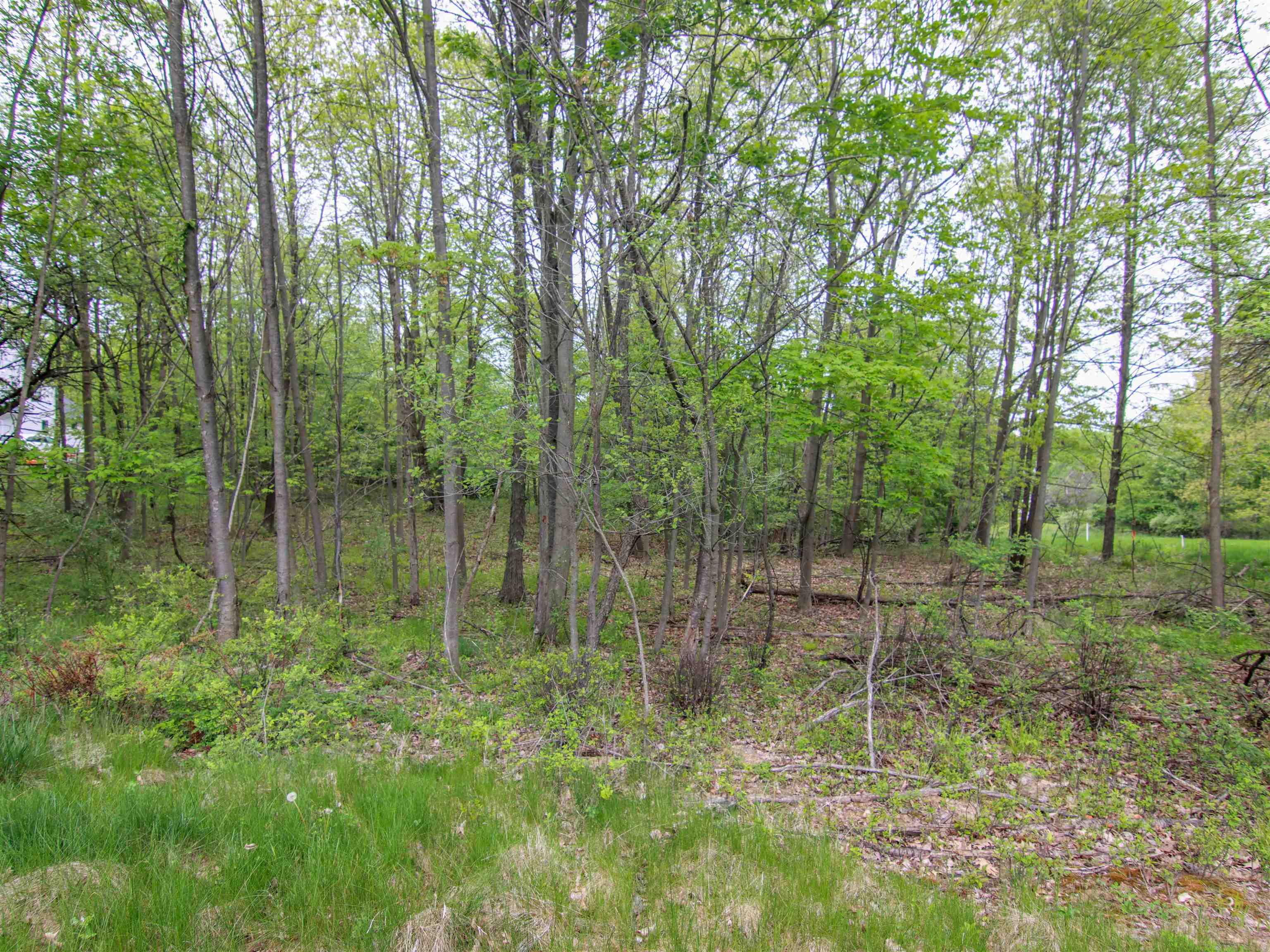 000-unit 3 Ledgewood Ravine Trail Property Photo 2