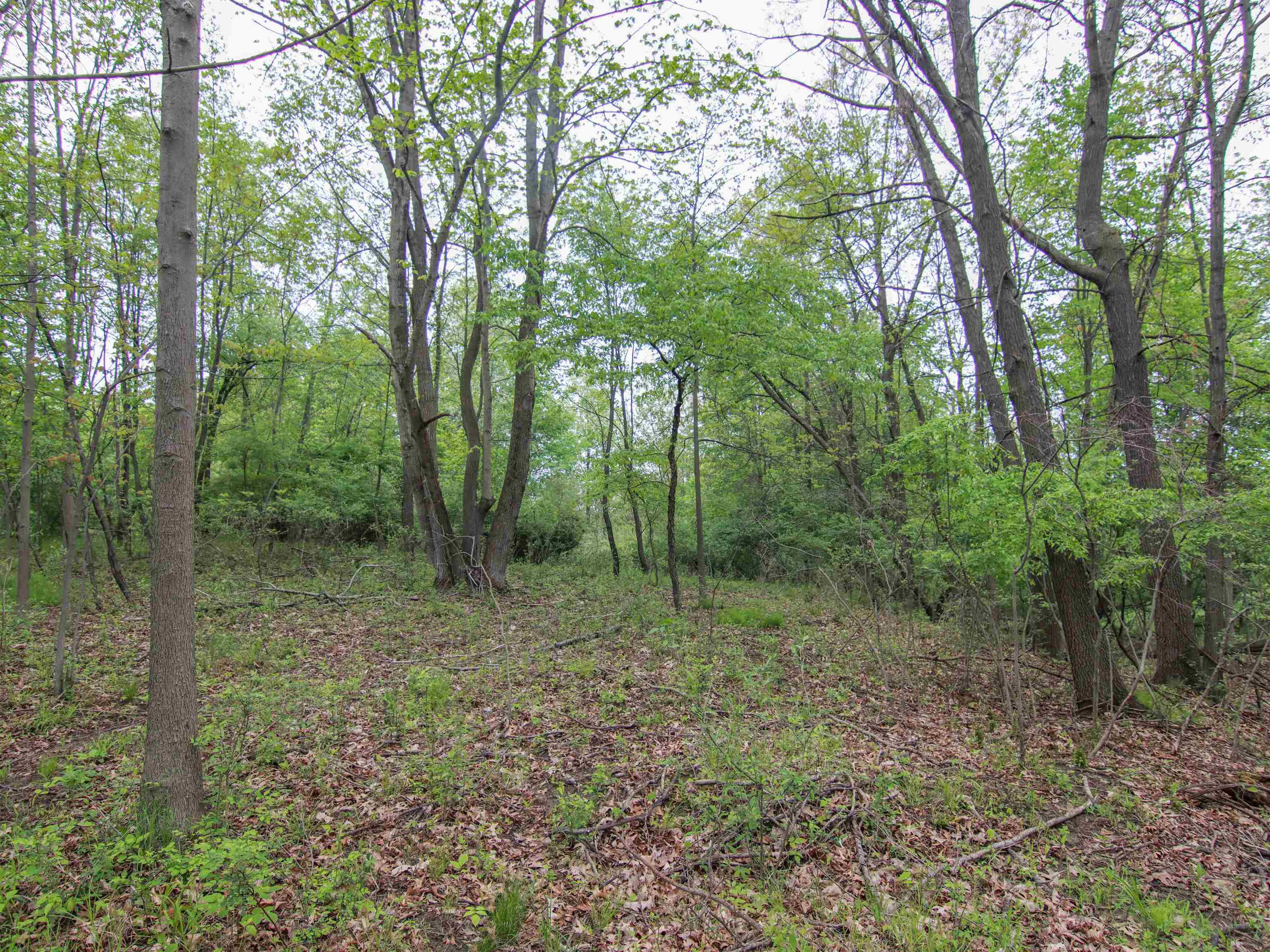 000-unit 3 Ledgewood Ravine Trail Property Photo 3