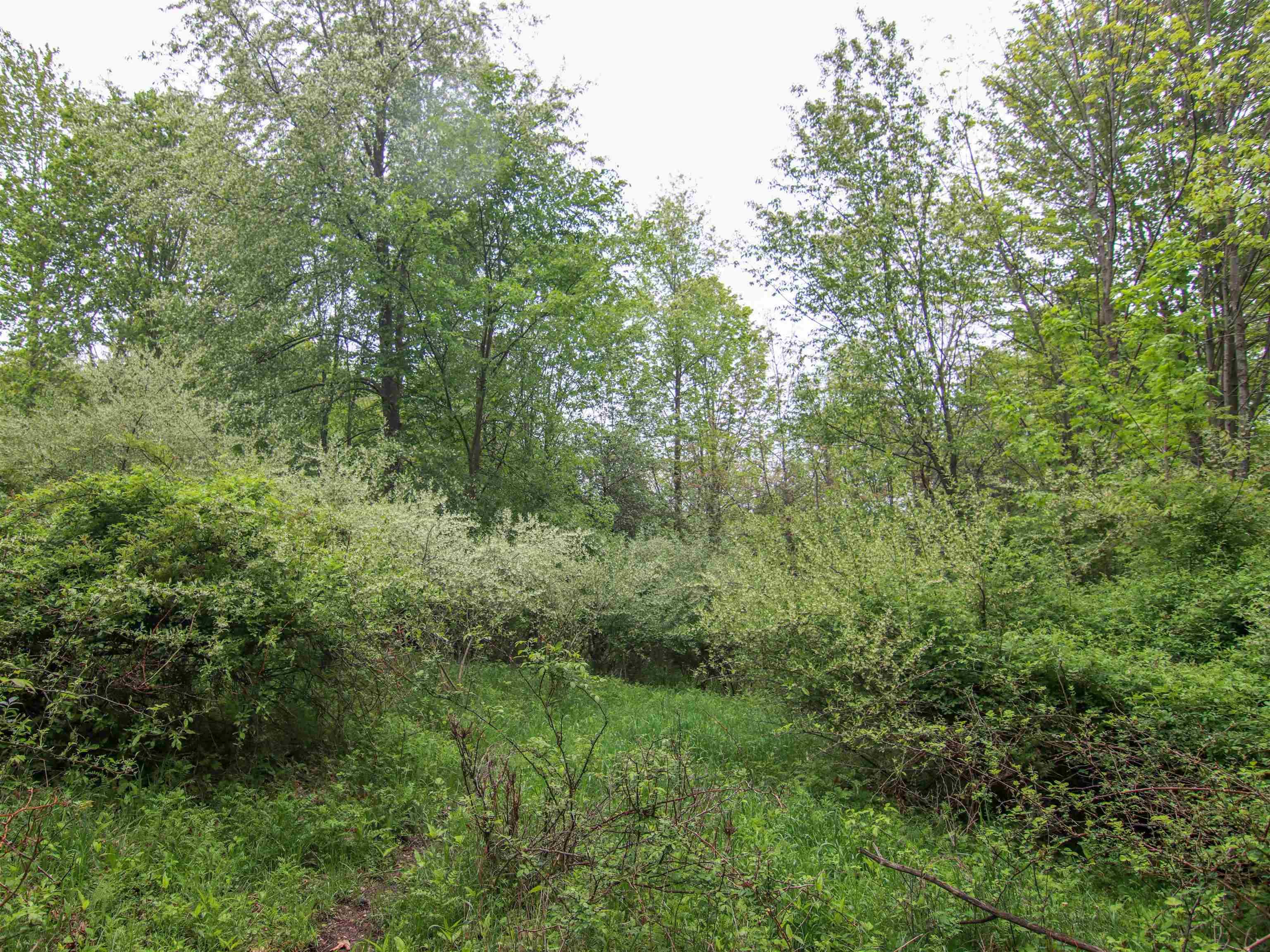 000-unit 3 Ledgewood Ravine Trail Property Photo 4