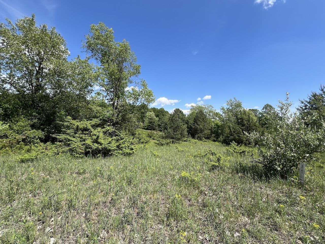 Unit 41 Talon Trace Property Photo 5
