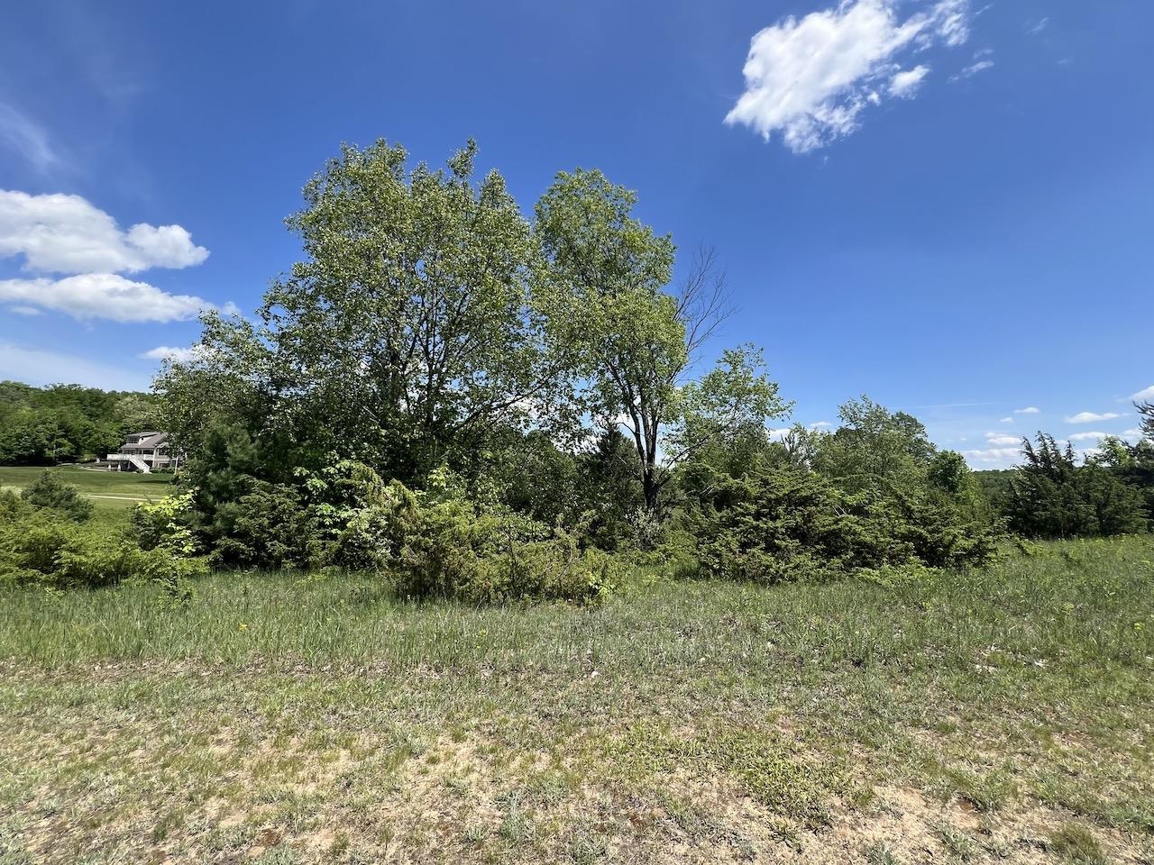 Unit 41 Talon Trace Property Photo 6