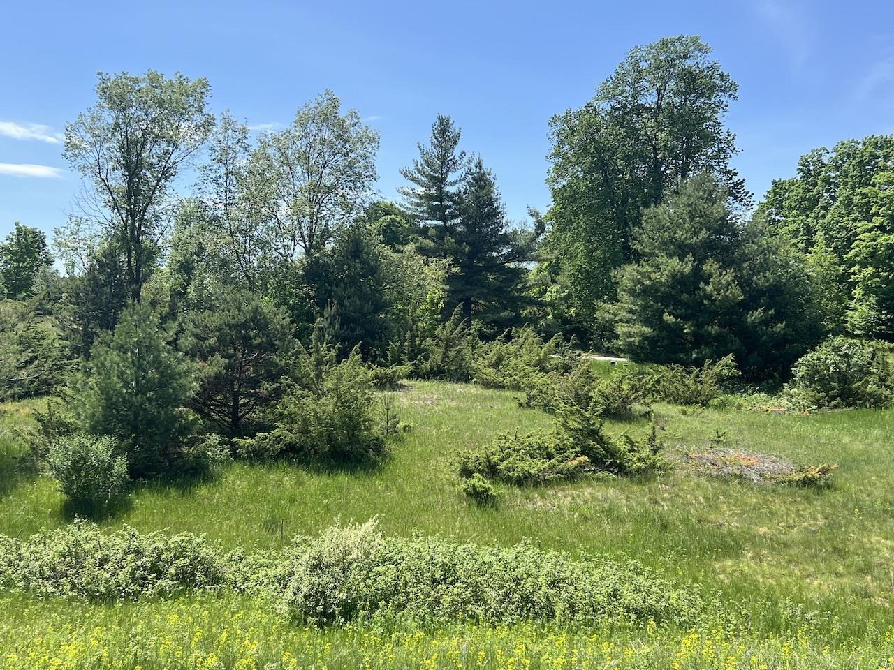 Unit 41 Talon Trace Property Photo 35