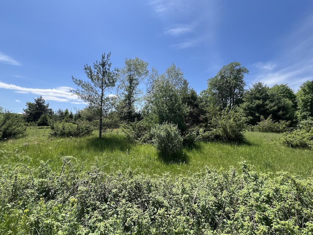 Unit 41 Talon Trace Property Photo 37