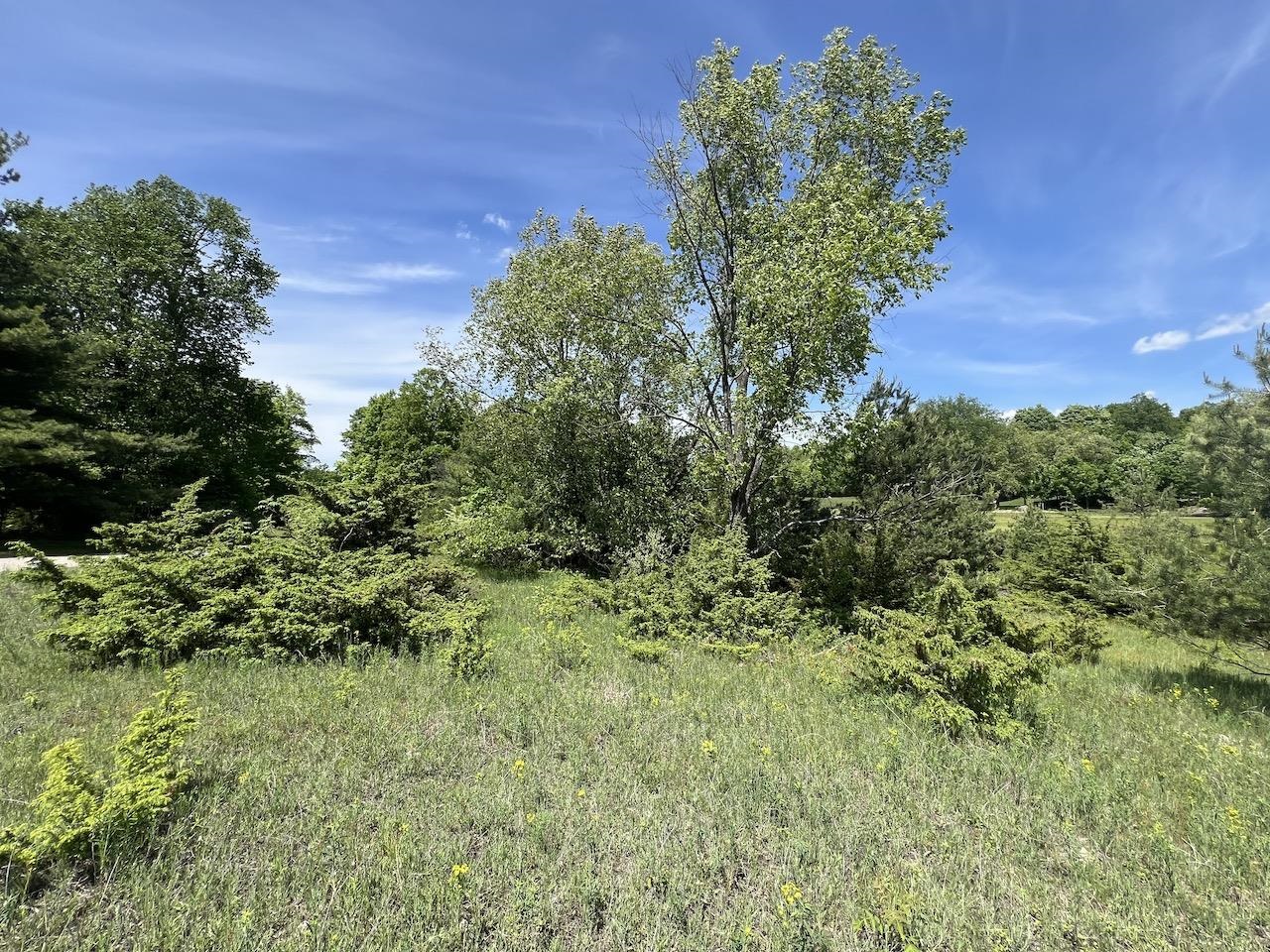 Unit 41 Talon Trace Property Photo 41