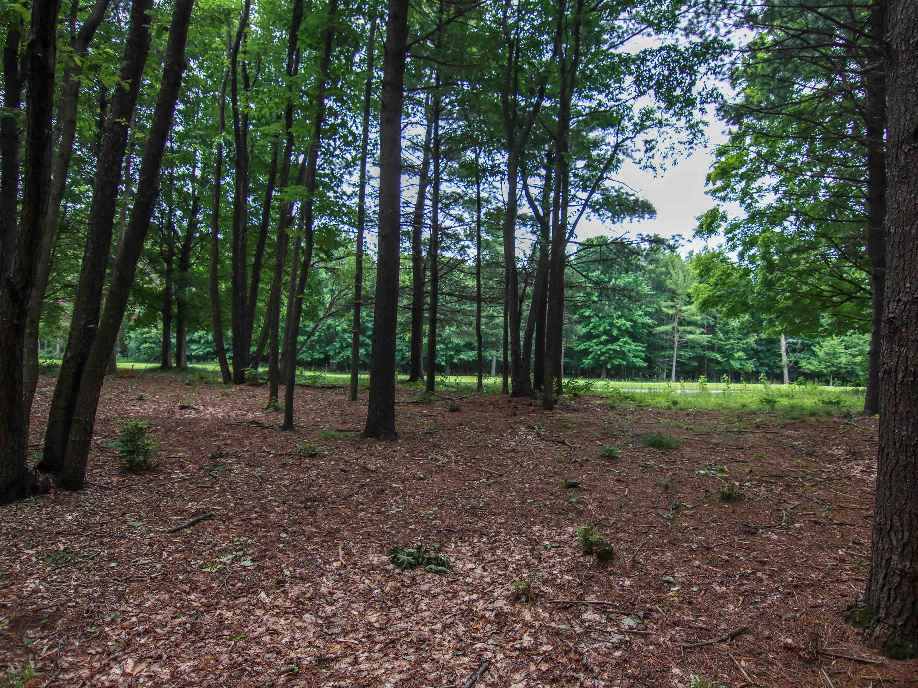 0000-unit 41 Trailside Drive Property Photo 1