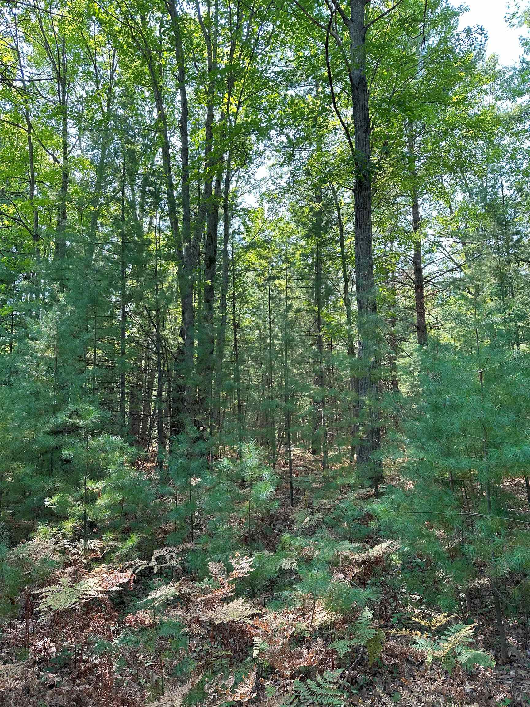 592 Se Blue Heron Drive Property Photo 4
