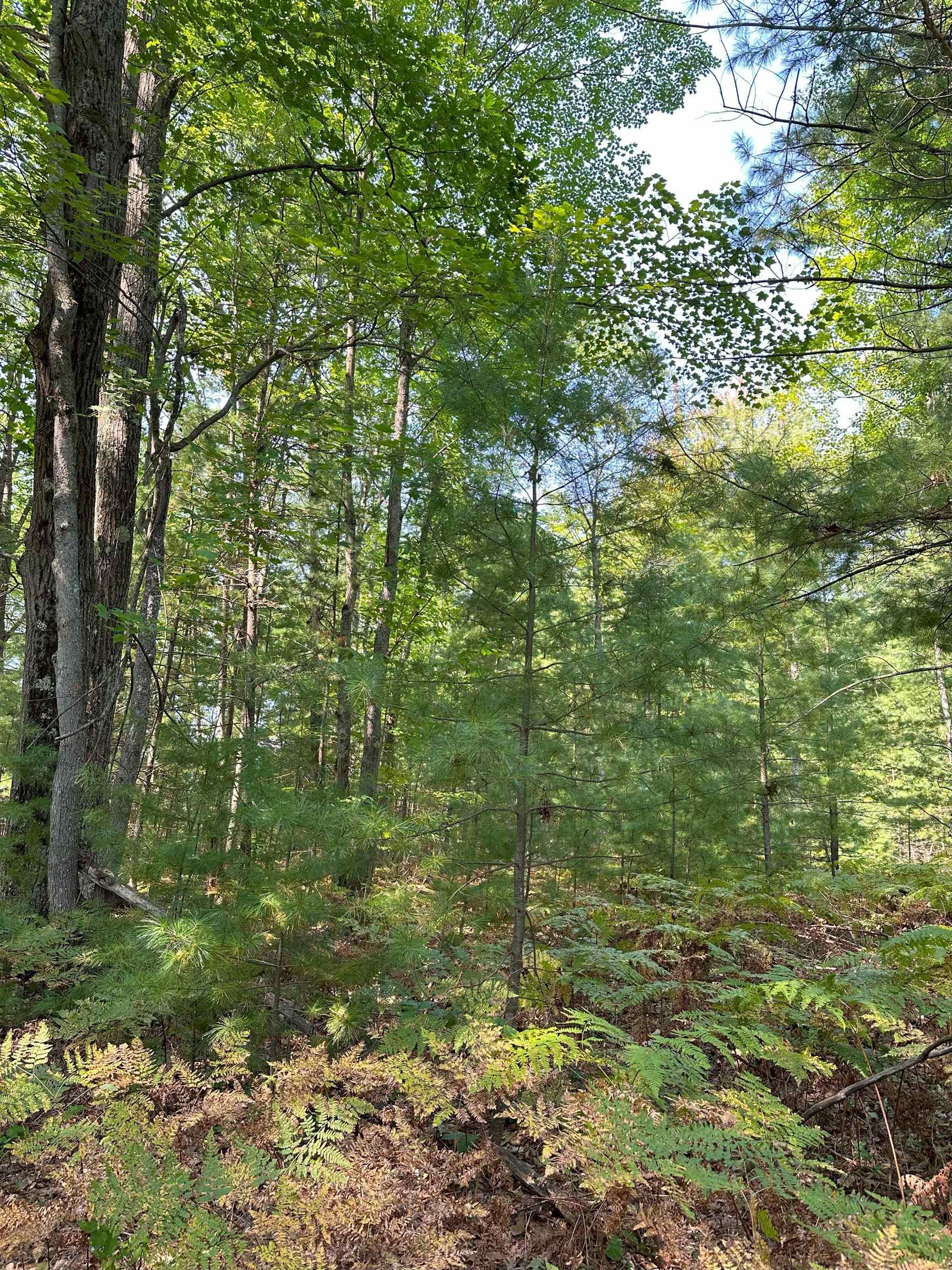 592 Se Blue Heron Drive Property Photo 5