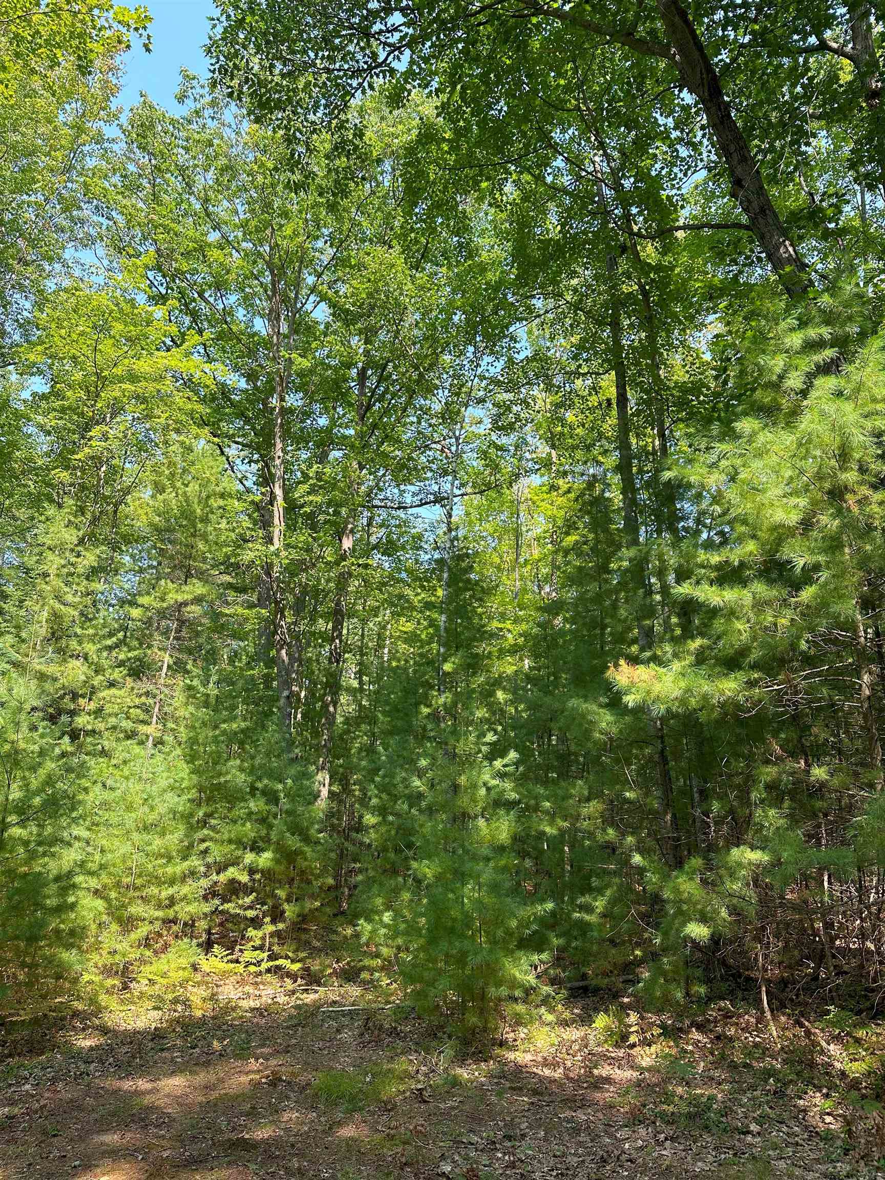 592 Se Blue Heron Drive Property Photo 7