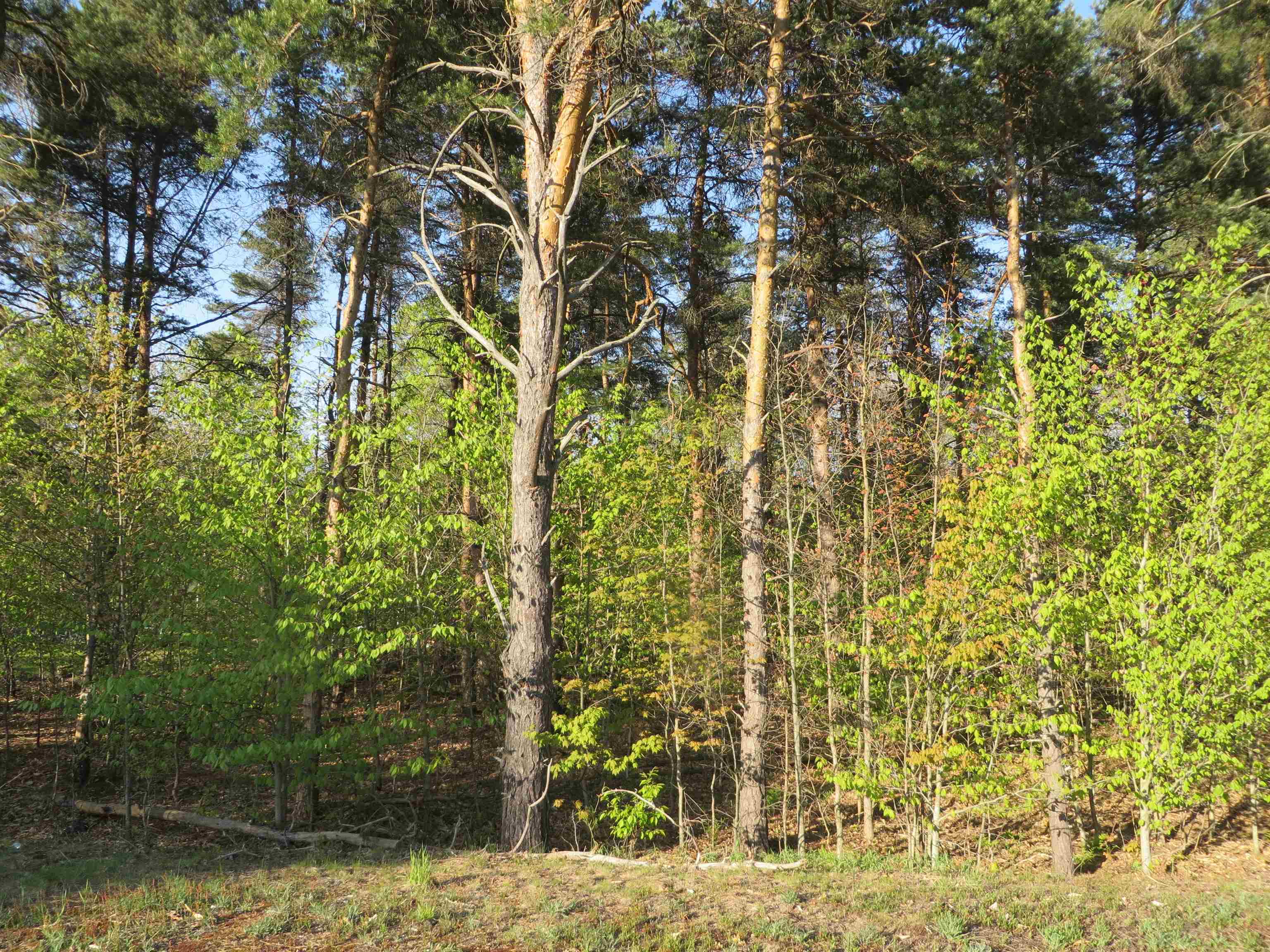 10.01 N 2 1/2 Road Property Photo 1