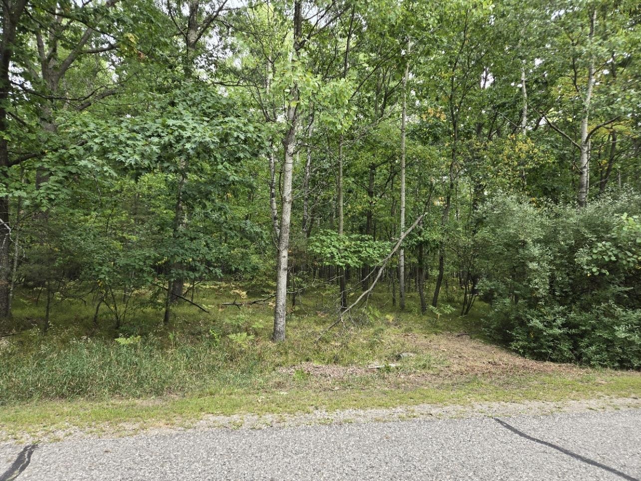 1009 Castle Drive Property Photo 6