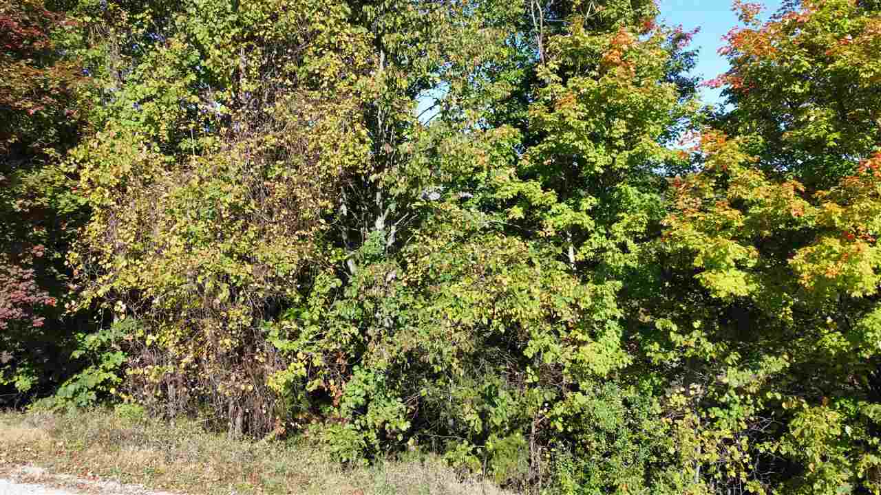 0 Palaestrum Road Property Photo 17