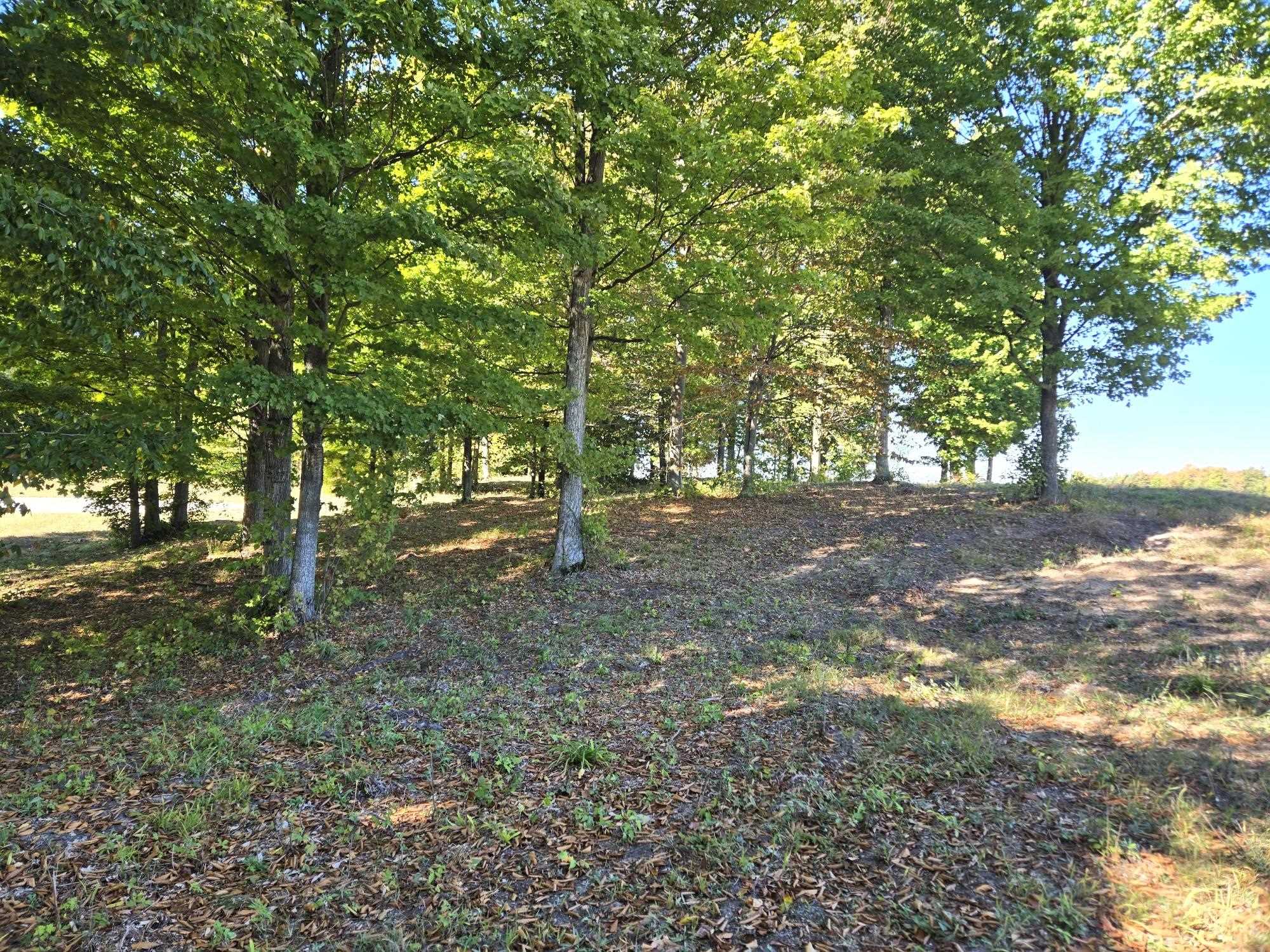 0017 Heather Ridge Trail Property Photo 6