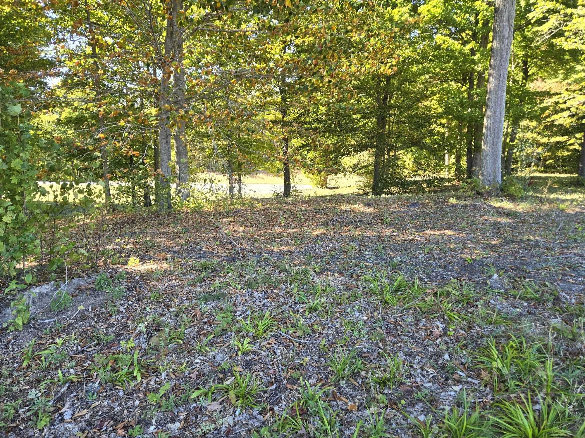 0017 Heather Ridge Trail Property Photo 14
