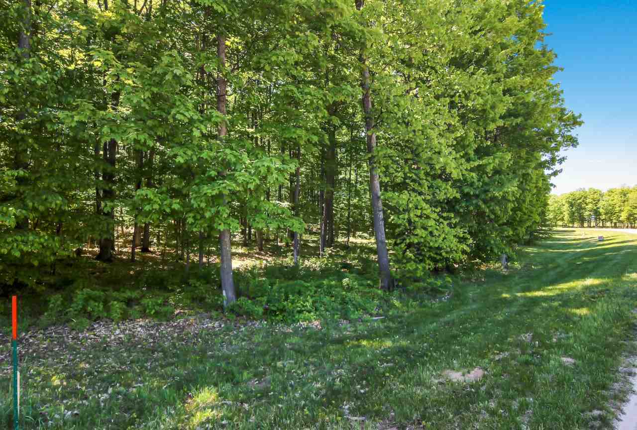 001 Heather Ridge Trail Property Photo 4