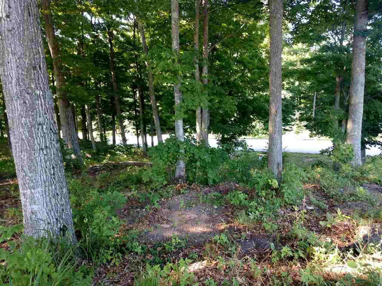 001 Heather Ridge Trail Property Photo 5