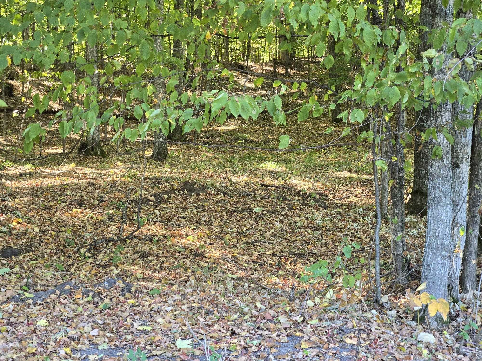 001 Heather Ridge Trail Property Photo 6