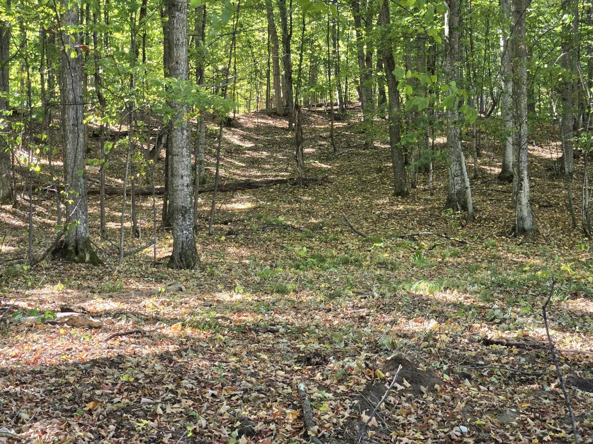 001 Heather Ridge Trail Property Photo 7