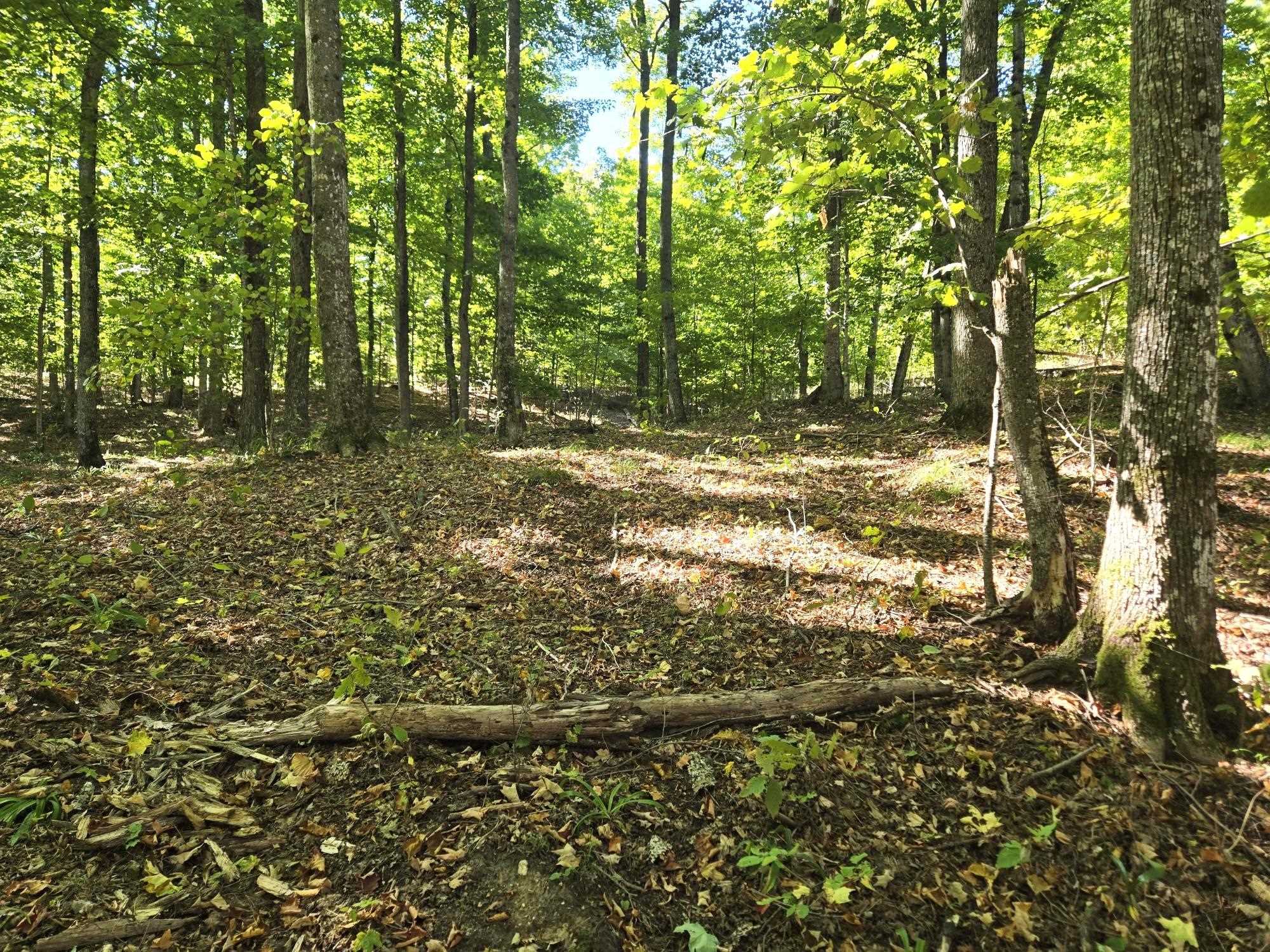 003 Heather Ridge Trail Property Photo 4