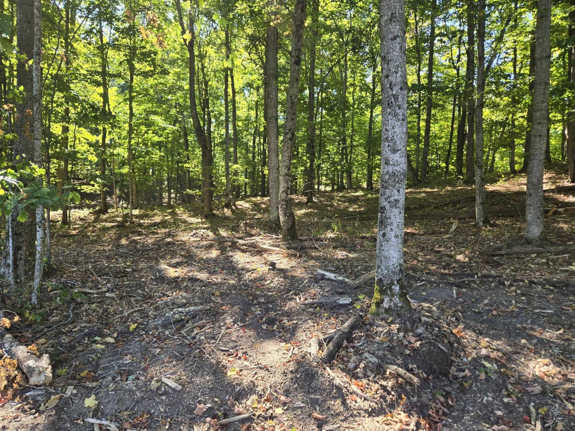 003 Heather Ridge Trail Property Photo 5