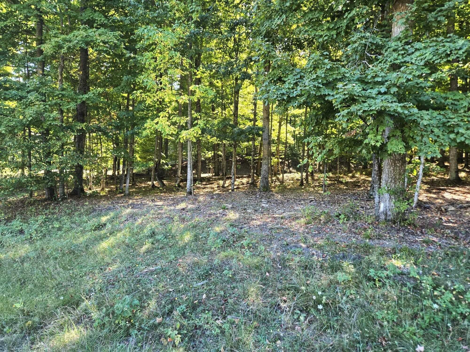 003 Heather Ridge Trail Property Photo 6