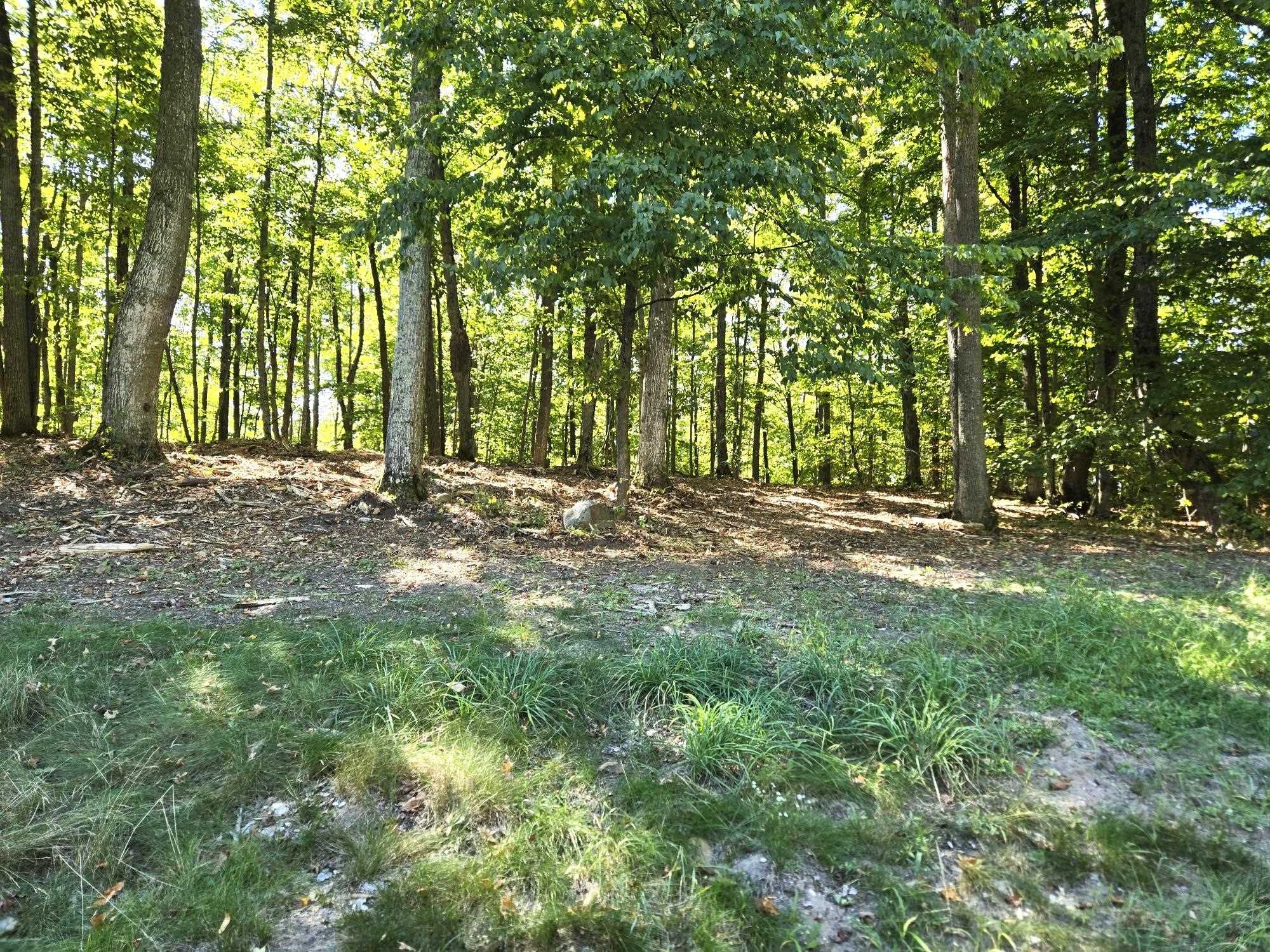 004 Heather Ridge Trail Property Photo 4